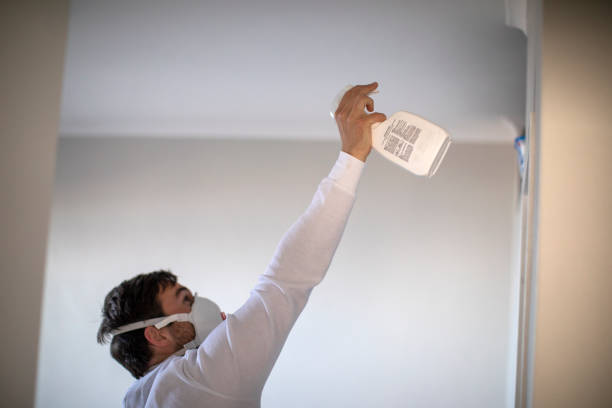 Best Professional Mold Removal  in Dupont, WA