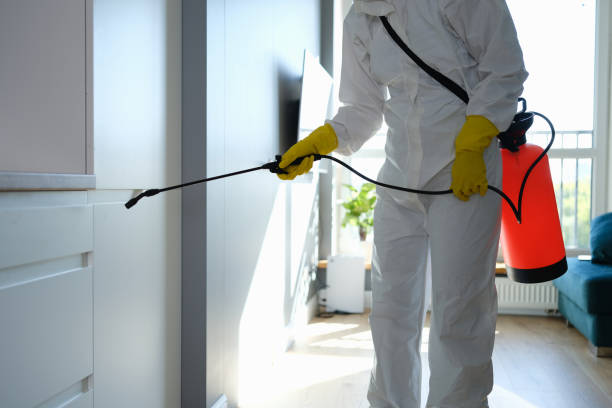 Best Commercial Mold Removal  in Dupont, WA